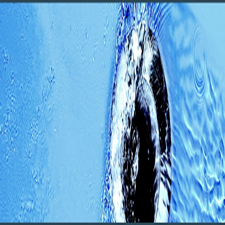 Slide of P W Stilwell Plumbing & Heating