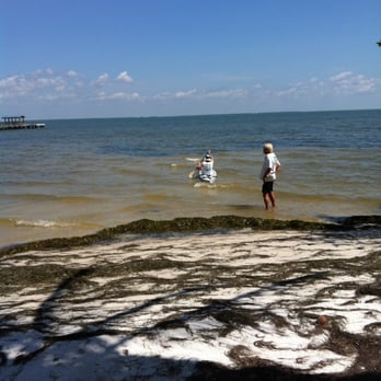 Bokeelia Art Gallery - Wading into the bay - Art Galleries Near Me - Bokeelia, Florida Bokeelia Art Gallery - Wading into the bay - Art Galleries Near Me - Bokeelia, Florida