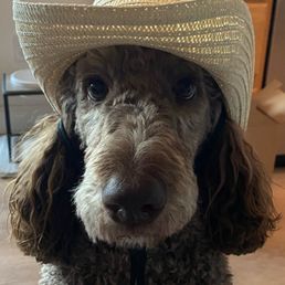 Sebastian ready for another day Sebastian ready for another day