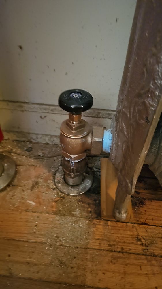 Slide of Eudomal Plomero