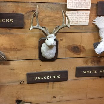 Wall Drug Store - Drugstores Near Me - Wall, South Dakota
