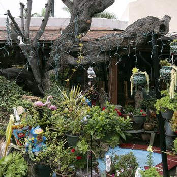 Tony's Jacal - Patio - Salad Near Me - Solana Beach, California Tony's Jacal - Patio - Salad Near Me - Solana Beach, California