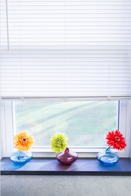 Scott Nakamura, DMD by null