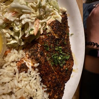 Brophy Bros - Seabass - Seafood Near Me - Santa Barbara, California