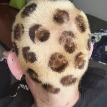 Bliss Hair Studio - Leopard print with fatty spots. Hillary is a rockstar! - Hair Salons Near Me - Westminster, Colorado Bliss Hair Studio - Leopard print with fatty spots. Hillary is a rockstar! - Hair Salons Near Me - Westminster, Colorado