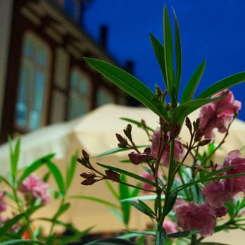 Castello - Italian Near Me - Hameln, NI Castello - Italian Near Me - Hameln, NI
