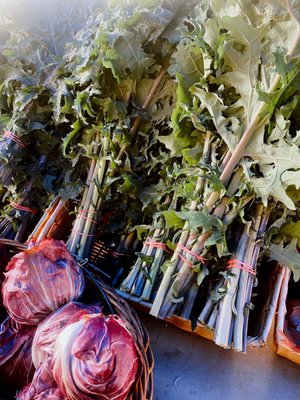 Headhouse Farmers’ Market by null