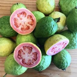 Semilla - Jugo de Guayabas