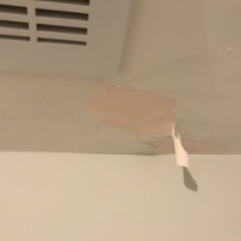 Oceanside Painting - Failure to prime raw drywall, caused paint to peel within a week - Painters Near Me - Half Moon Bay, California Oceanside Painting - Failure to prime raw drywall, caused paint to peel within a week - Painters Near Me - Half Moon Bay, California