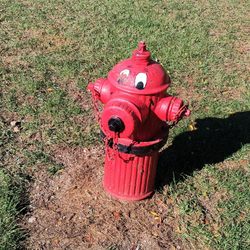 Cedar Springs Dog Park
