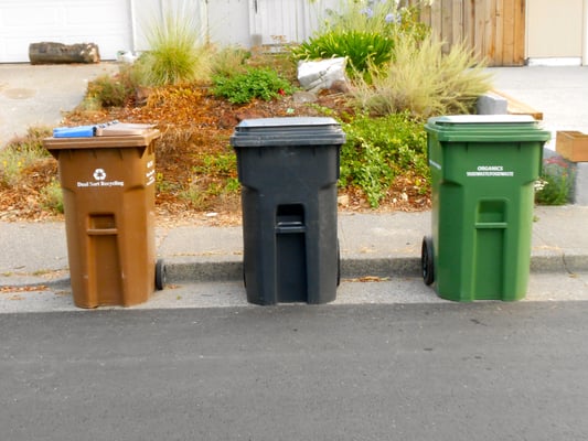 Marin Sanitary Service by null