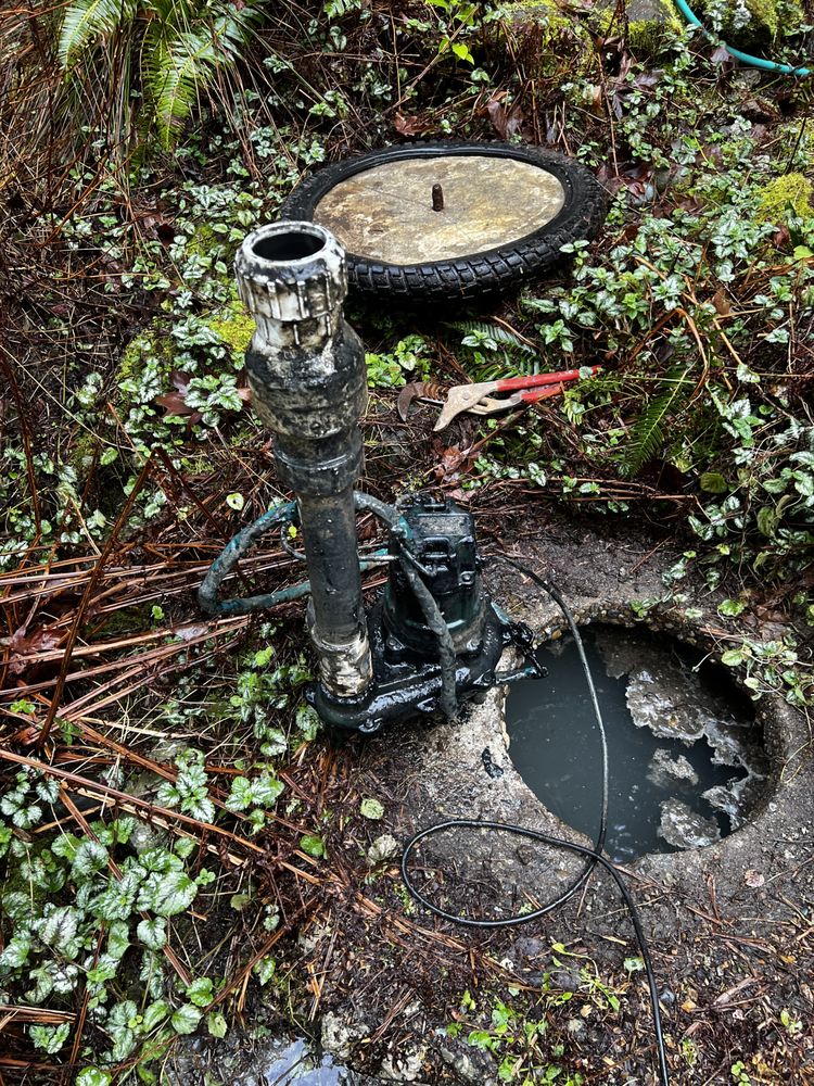 Slide of Septic Response