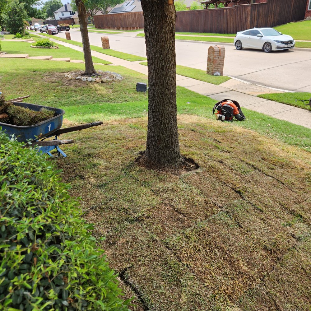 Grass DFW - Lawn Services Near Me - Frisco, Texas