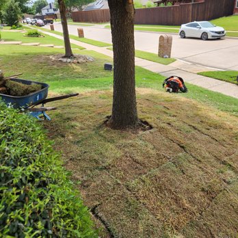 Grass DFW - Lawn Services Near Me - Frisco, Texas Grass DFW - Lawn Services Near Me - Frisco, Texas