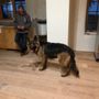 Photo of Switzer Veterinary Clinic