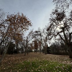 Suicide Flats DGC at Hart Memorial Park - Fairway of hole 17