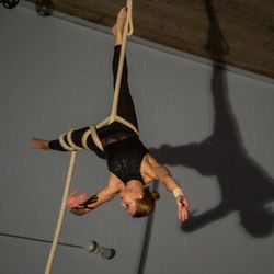 Circus Complex