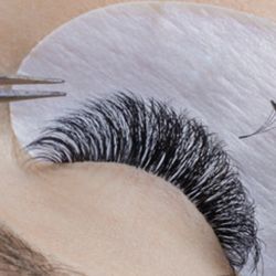 Lash Suite 734 - Fill In