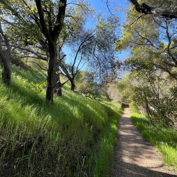 Marian Bear Memorial Park - Hiking Near Me - San Diego, California Marian Bear Memorial Park - Hiking Near Me - San Diego, California