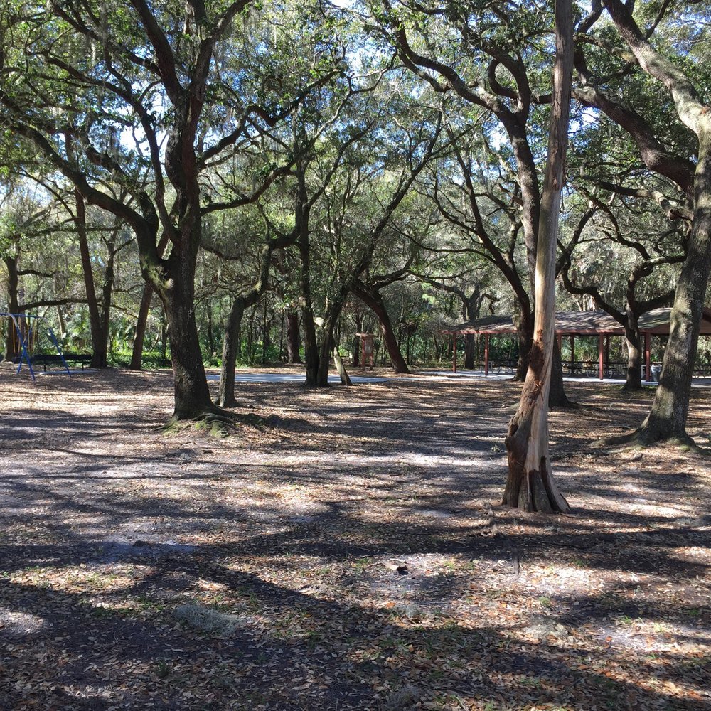 Marshall Street Park - Parks Near Me - Safety Harbor, Florida