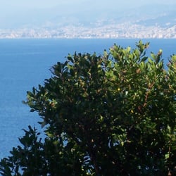 Das Meer bei Punta Chiappa - Die ligurische Küste mit Recco von Punta Chiappa aus gesehen