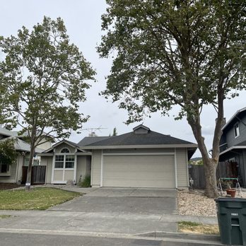 G Garcia Tree Service - After! - Tree Services Near Me - Santa Rosa, California G Garcia Tree Service - After! - Tree Services Near Me - Santa Rosa, California