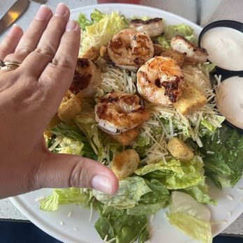 Jinks Creek Waterfront Grille - Scale of how big salad was - Seafood Near Me - Ocean Isle Beach, North Carolina Jinks Creek Waterfront Grille - Scale of how big salad was - Seafood Near Me - Ocean Isle Beach, North Carolina
