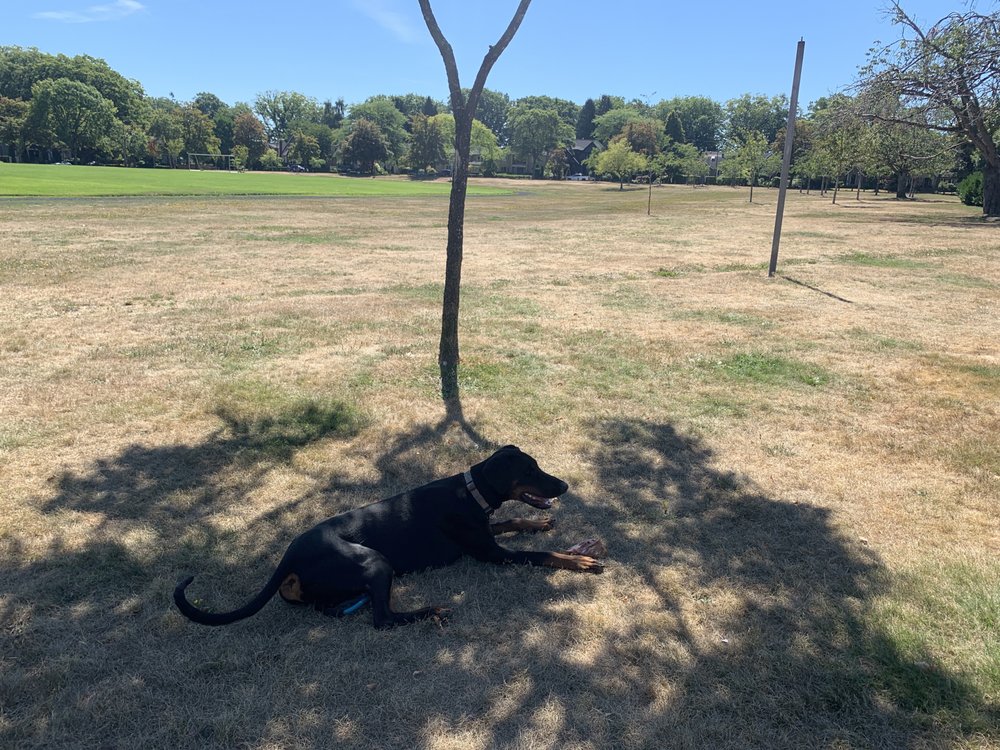 BALACLAVA PARK Updated August 2024 4594 Balaclava Street, Vancouver