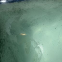 pool with black sludge floating everywhere pool with black sludge floating everywhere