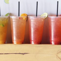 MUSE Fusion+Sushi - Muse non alcoholic drinks