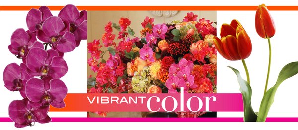 Daylily Floral Cascade by null