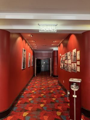 Vogue Theatre by null