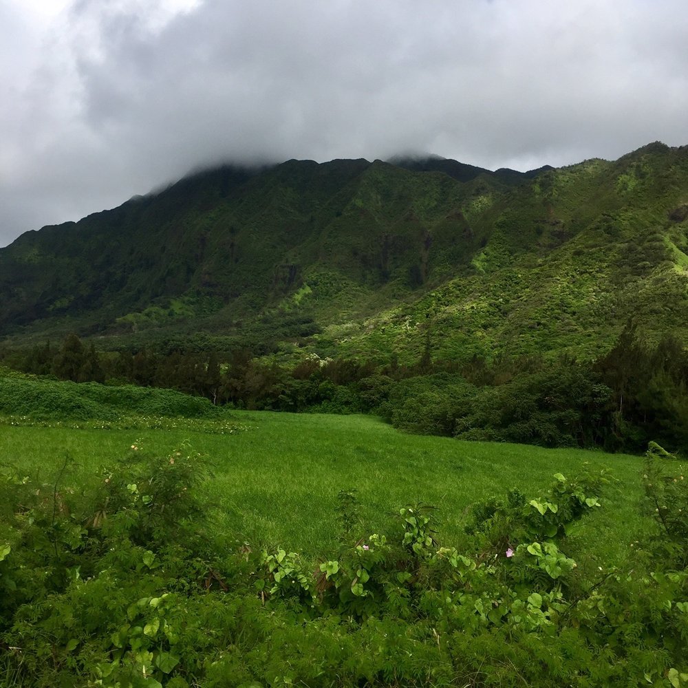 Lulumahu Falls - Hiking Near Me - Honolulu, Hawaii Lulumahu Falls - Hiking Near Me - Honolulu, Hawaii