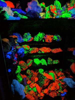 Electric Ladyland - Museum of Fluorescent Art by null