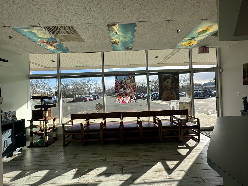 RAMTOWN ANIMAL HOSPITAL 20 Photos & 13 Reviews 6 Ramtown Greenville