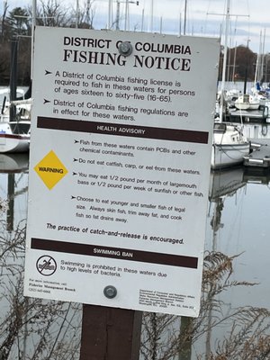 Washington Sailing Marina by null