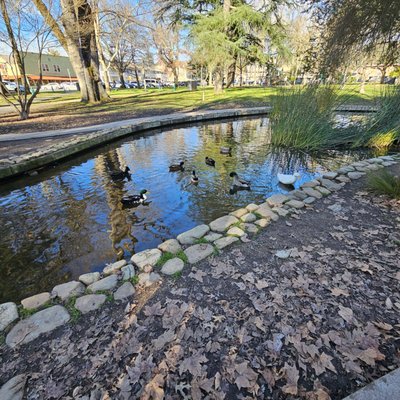 Sonoma Plaza by null
