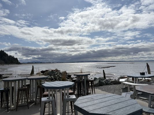 Taylor Shellfish Farms by null