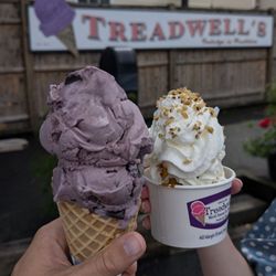Treadwell's Ice Cream