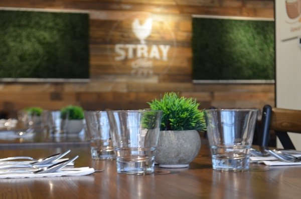 Stray Hen Cafe - Elmhurst, Illinois by null