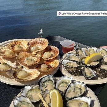 Jim Wild's Oyster Service - Oysters and Scallops - Specialty Food Near Me - Greenwell Point, NSW