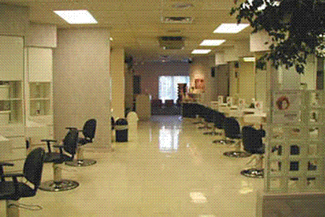 Antons Salon by null