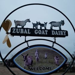 Zubal Goat Dairy