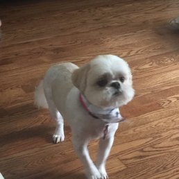 Abbie
