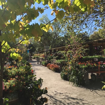 Maas Nursery - Nurseries & Gardening Near Me - Seabrook, Texas Maas Nursery - Nurseries & Gardening Near Me - Seabrook, Texas