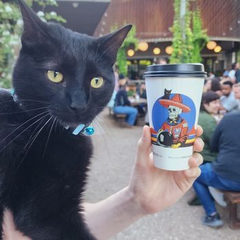 Cosmic Saltillo - Coffee - Coffee & Tea Near Me - Austin, Texas Cosmic Saltillo - Coffee - Coffee & Tea Near Me - Austin, Texas