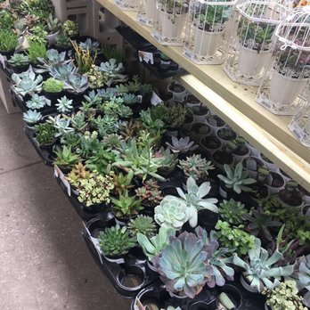 The Home Depot - Nurseries & Gardening Near Me - Chicago, Illinois The Home Depot - Nurseries & Gardening Near Me - Chicago, Illinois