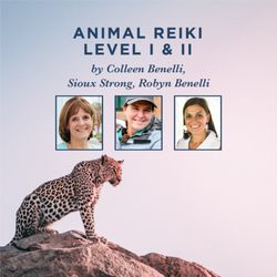 Reiki Lifestyle - Animal Reiki Training Classes