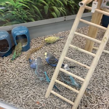 Petco - Pet Groomers Near Me - El Monte, California