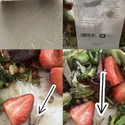 Publix Super Markets - I have no words . The only thing I have is advise, check your salads!! Never again
